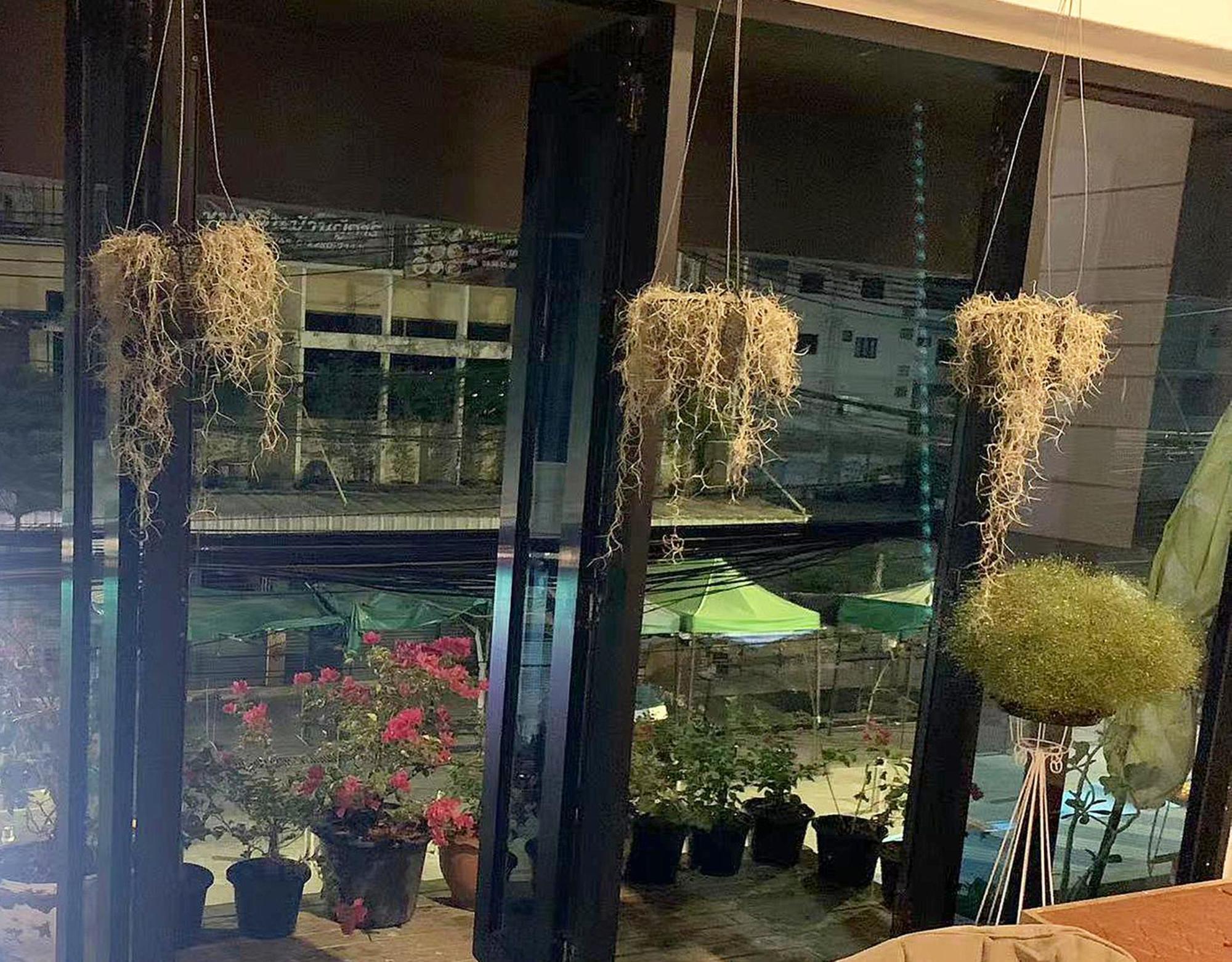 Susu Khaosan Hostel Bangkok Exteriér fotografie